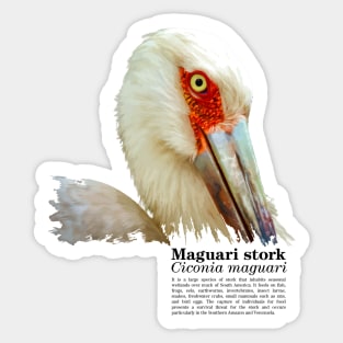 Maguari stork tropical bird black text Sticker